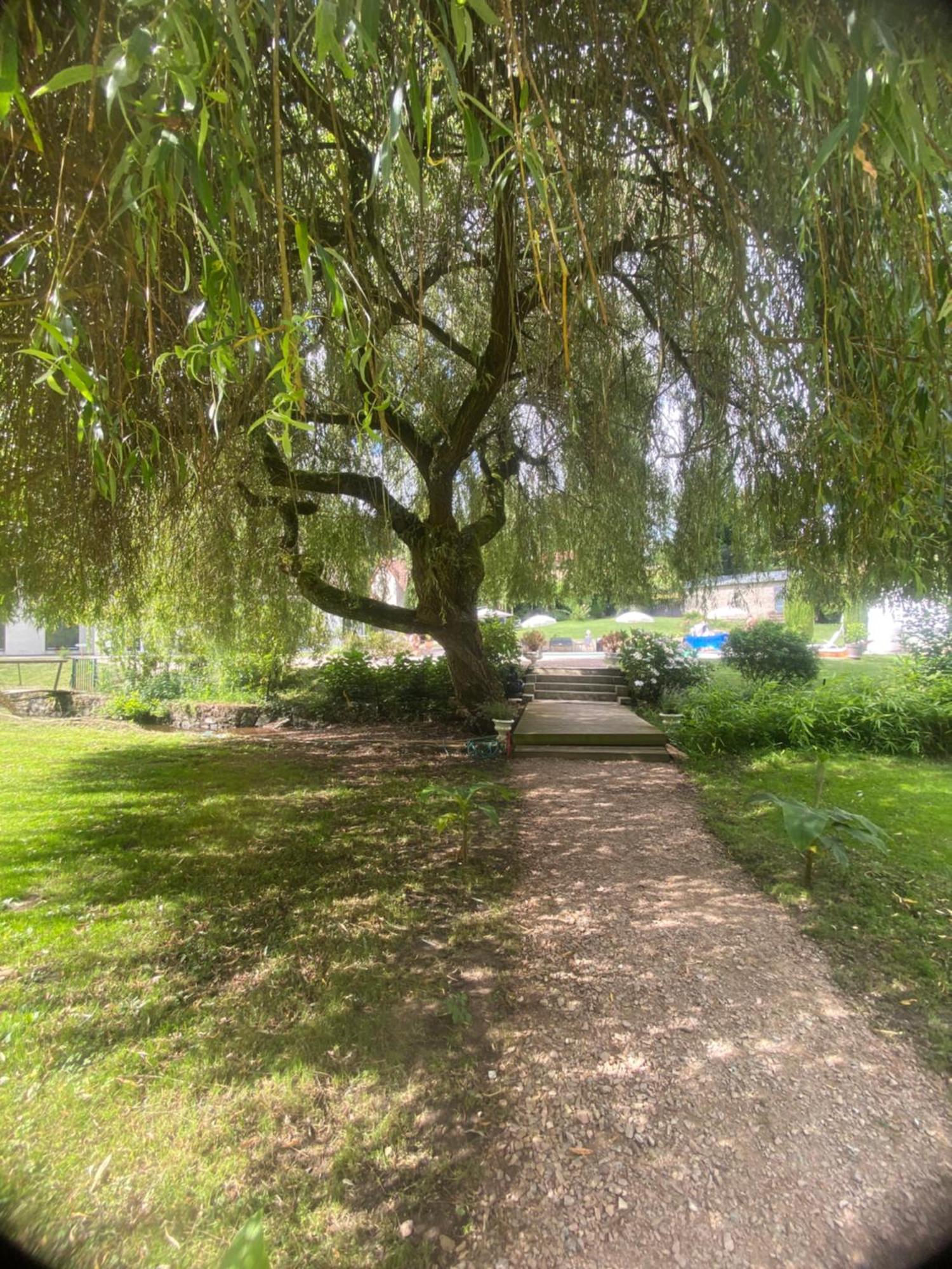 Le Moulin De La Vernoelle Premilhat Bagian luar foto